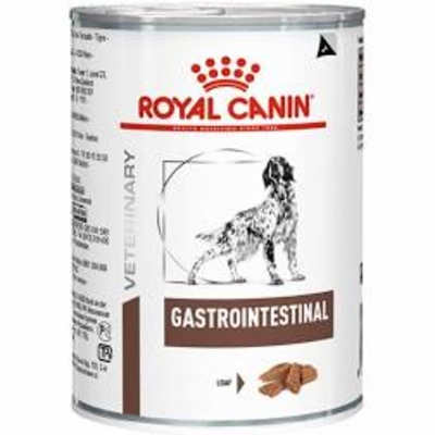 gastro_intestinal_canine_400.jpg&width=400&height=500